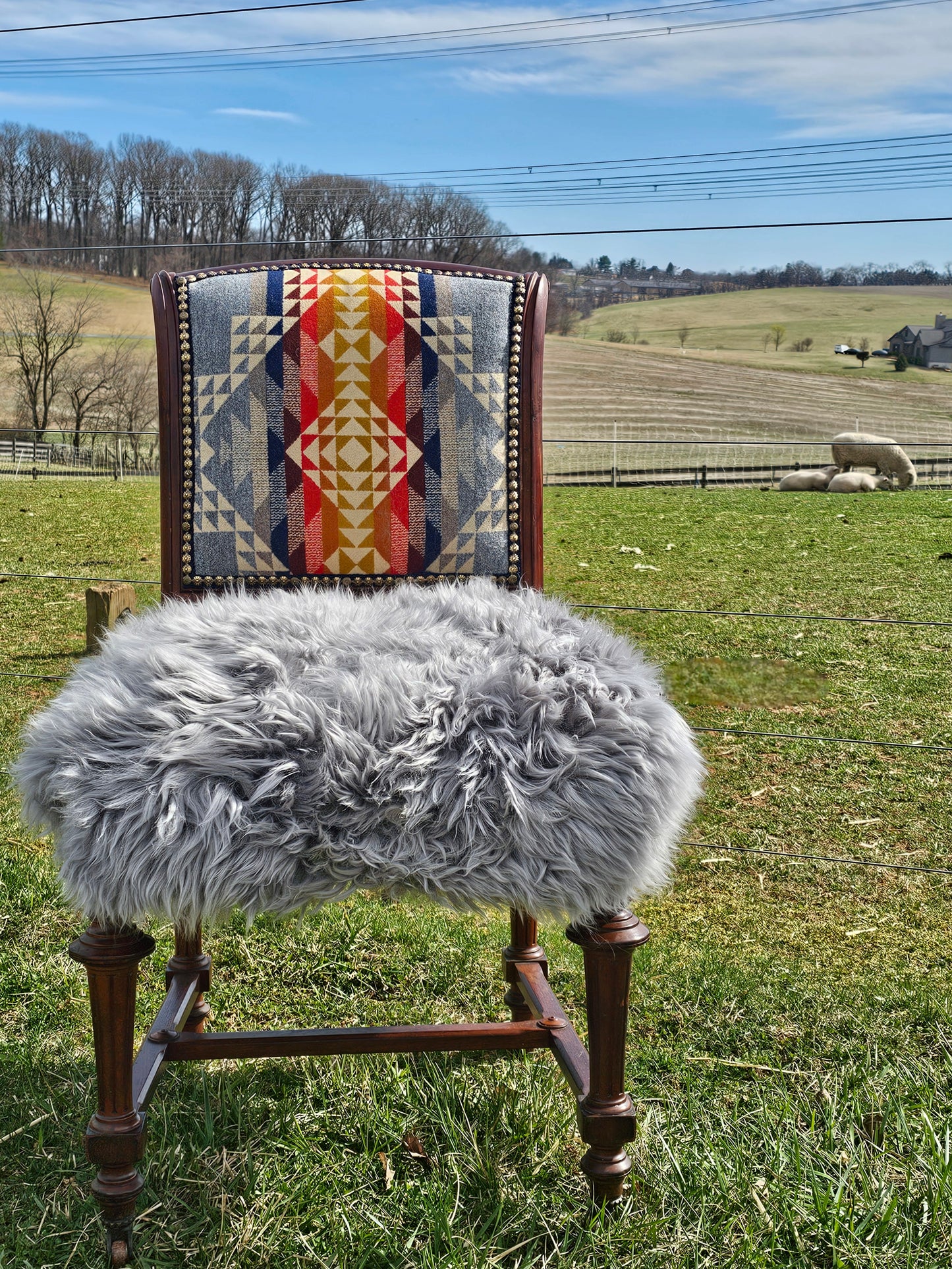 Pilot Rock Regency-Style Sheep Hide Chair